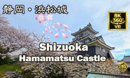 Hamamatsu Castle | Cherry Blossoms and Tower View | Hamamatsu, Shizuoka, Japan