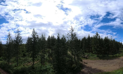 Survol d'une forêt en Bretagne