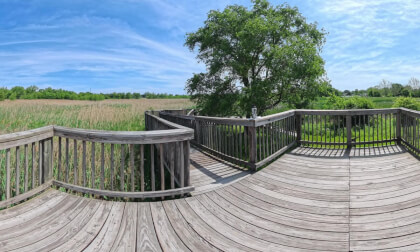 Park Forest Experience 360