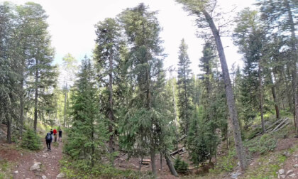 VID_20260522_185312_00_029