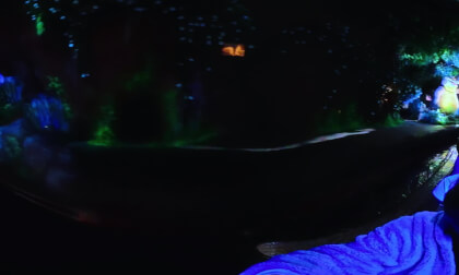 8. Disneyland's Tiana's Bayou Adventure