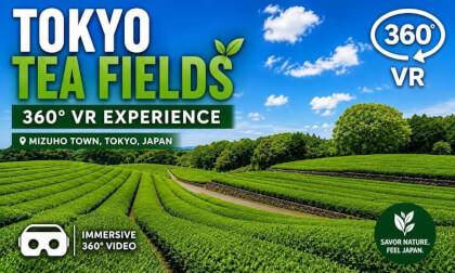 Tokyo Tea Fields in 360° VR | Drone Flight Over Mizuho, Japan | ANTIGRAVITY A1