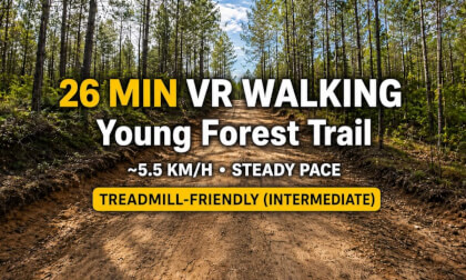 26 MIN VR WALKING | Young Forest Trail | One-Way Path | Treadmill-Friendly