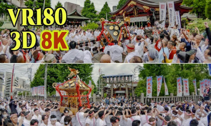 Tokyo Susanoo Shrine Tenno Festival , a rare event where the portable shrine is swung around in a large motion.