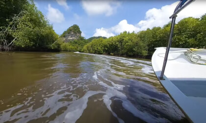 180 VR - Malaysia 2023 - Langkawi islands - Mangrove tour- part 4/6