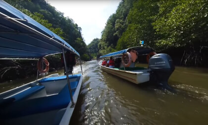 180 VR - Malaysia 2023 - Langkawi islands - Mangrove tour- part 5/6