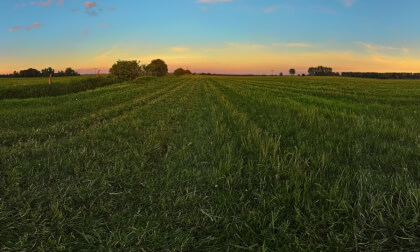Schloss Diedersdorf, Germany, Sundset2, Germany, Trailer, 8k, 360°