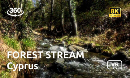 8K Forest Stream in Cyprus | Relaxing Ambient Music