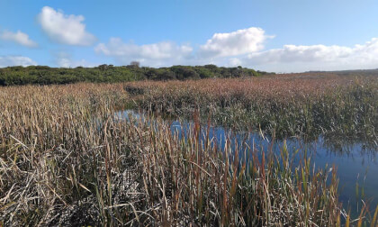 Hike Picaninnie Ponds, Australia, Tour2, Trailer, 5k, 360°