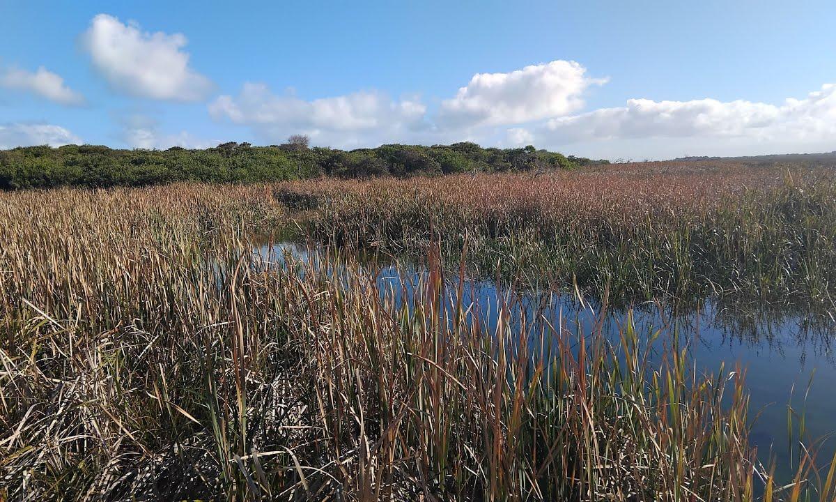 Hike Picaninnie Ponds, Australia, Tour2, Trailer, 5k, 360°