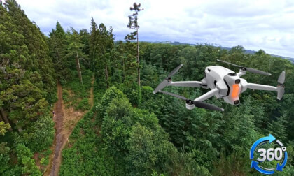 8K 360° Forest Flight in Brittany | Immersive VR Nature Experience