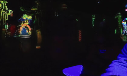 17. Disneyland's Pinocchio's Daring Journey (Doug and Clare)
