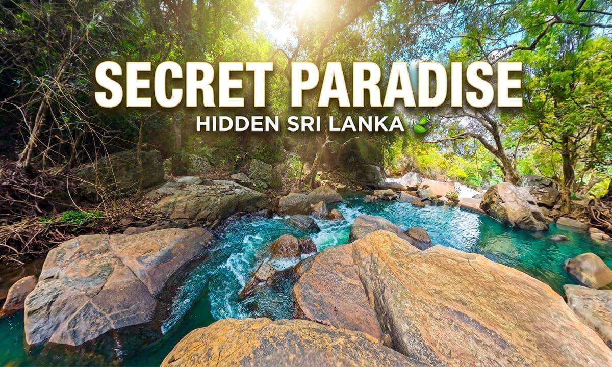 Hidden Forest Stream in Sri Lanka 🍃💦 | Relaxing 8K 360 VR Experience