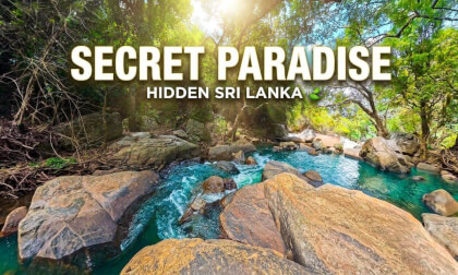Hidden Forest Stream in Sri Lanka 🍃💦 | Relaxing 8K 360 VR Experience