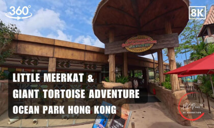 🐾Little Meerkat and Giant Tortoise Adventure - Ocean Park Hong Kong 2026 | 8K 360VR