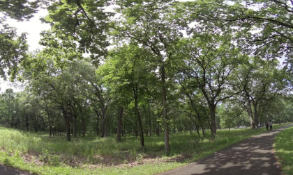 Walk Test