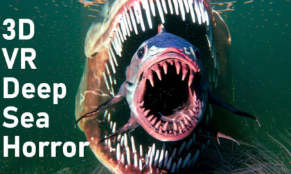 Swimming with some monsters in 180 VR