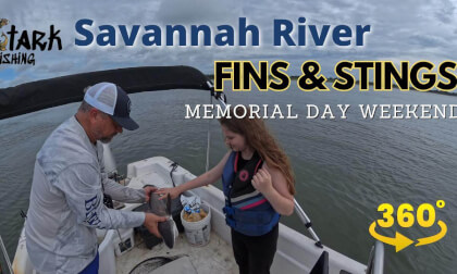 Savannah River: FINS & STINGS