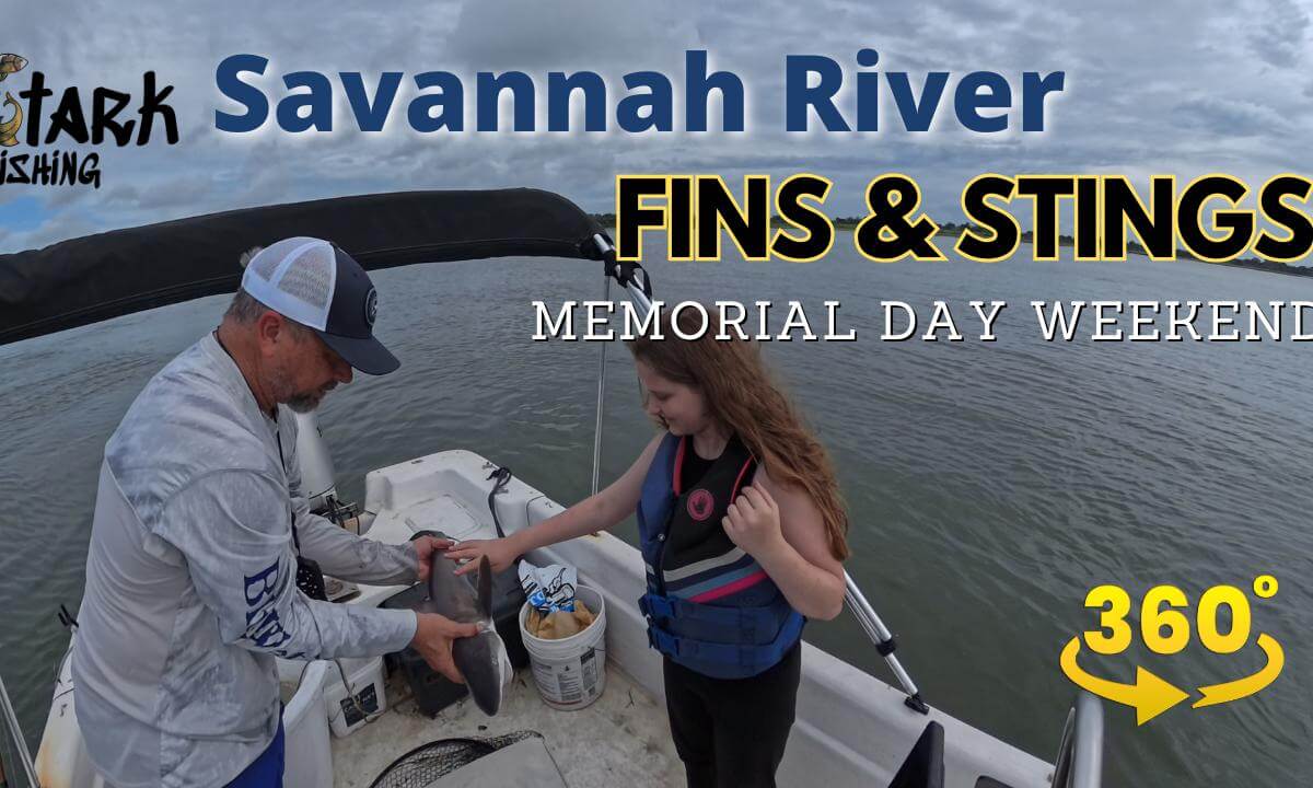 Savannah River: FINS & STINGS