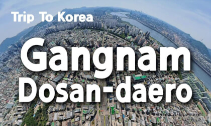 [360 Trip to Korea] Dosan-daero 🇰🇷 Seoul’s Luxury Boulevard of Style