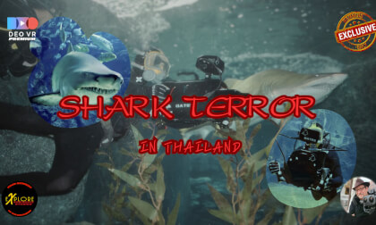 Shark Terror in Thailand VR Video Shark Terror in Thailand VR
