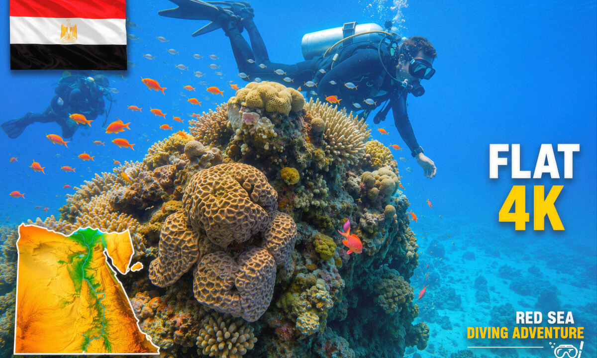 Relaxing Red Sea Reefs 🇪🇬 | Dahab Underwater World | Tropical Fish & Coral Gardens | 4K