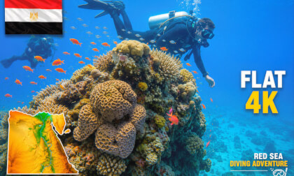 Relaxing Red Sea Reefs 🇪🇬 | Dahab Underwater World | Tropical Fish & Coral Gardens | 4K