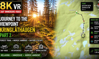 Kringlåthaugen Route Part 2, Norway — Through the Golden Forest to the Summit Viewpoint | 8K 360 VR