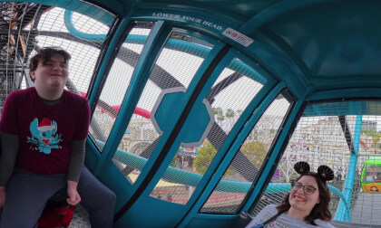 27. Disneyland's Pixar Pal-A-Round (Mickey's Fun Wheel) flowstate