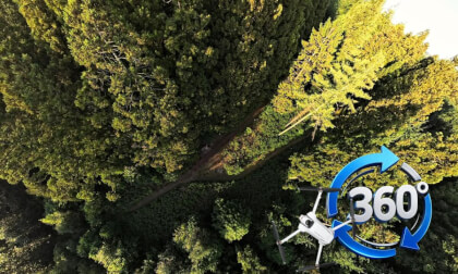 Courte élévation spirituelle au dessus d'une forêt en Bretagne