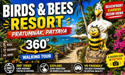 Birds and Bees Resort Pattaya | 360° Walking Tour Narration