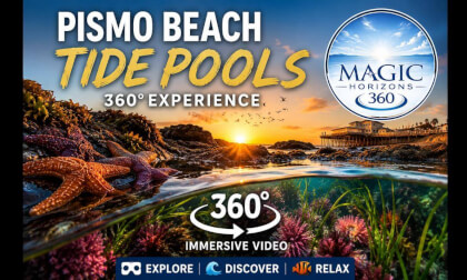 🌊 Pismo Beach Tide Pools in 360° VR January 2026 | Explore California's Hidden Coastal Wonders!