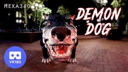 DEMON DOG DEMON DOG
