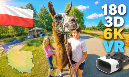 🦙🌿 Alpacas & Llamas in Kashubia | Close-Up Animal Farm | VR180 3D