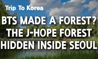 [360 Trip to Korea] The Hidden BTS Forest in Seoul : The Remarkable Story of J-Hope Forest Built by Millions of Fans