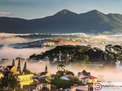 VuonHong rungnhiettoi Dalat-stitched VR Video VuonHong rungnhiettoi Dalat-stitched VR