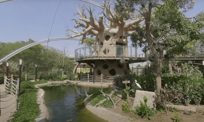 [360] UAE, Dubai, Dubai Safari Park, Insta360 Evo, 360 Video