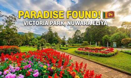 🌸 Victoria Park Nuwara Eliya 🇱🇰 | A Peaceful Escape into Nature | 8K 360° VR Experience