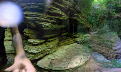 WILD #24: Into the Canyon (8K 360° VR)