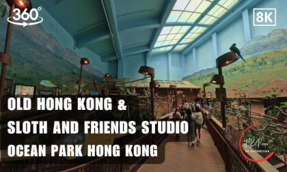 🦥Old Hong Kong & Sloth and Friends Studio - Ocean Park Hong Kong 2026 | 8K 360VR