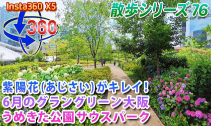 [VR Walk 76] Beautiful Hydrangeas!! Grand Green Osaka South Park Umeda Park in June