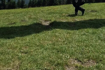 Sabine VR Video Sabine VR