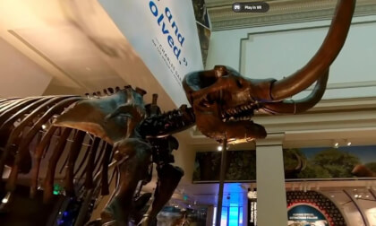 Smithsonian  - Museum of Natural History VR 360