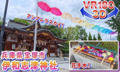 [VR180 3D] Flower Water Basin and Umbrella Sky at Iwashizu Shrine, Takarazuka City, Hyogo Prefecture