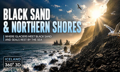 Iceland Black Sand Beaches & Wildlife 360° 3D