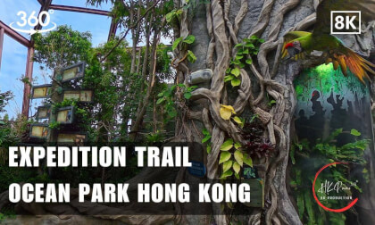 Expedition Trail - Ocean Park Hong Kong 2026 | 8K 360VR