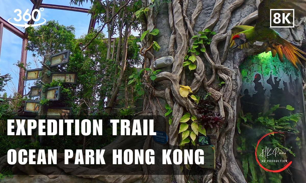 Expedition Trail - Ocean Park Hong Kong 2026 | 8K 360VR