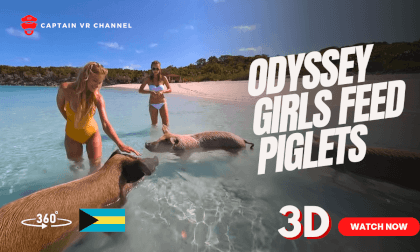 Odyssey girls feed piglets VR Video Odyssey girls feed piglets VR