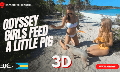 Odyssey girls feed a little pig VR Video Odyssey girls feed a little pig VR