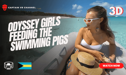 Odyssey girls  feeding the swimming pigs VR Video Odyssey girls  feeding the swimming pigs VR